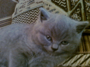 0661551083 и3930474   наталия #275177