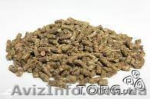 Продам корм для шиншил Запорожье #274199