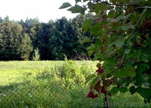 Продам приватизированный участок с домом #268048