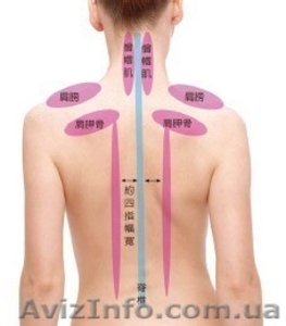 Массаж у Вас дома,  офисе или у нас в салоне  #129641