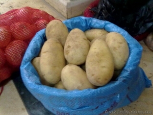 оптовые поставки овощей и фруктов #267343