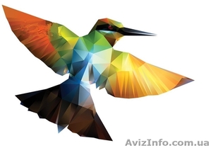 Раскрутка сайта Самостоятельно и бесплатно #269785