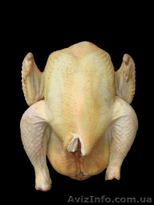 Домашние бройлера #266730