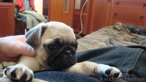 N.S.KALUGINA@I.UA #249805