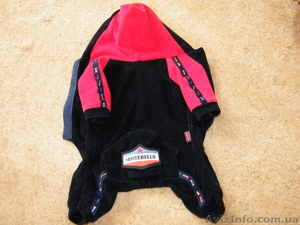 одежда для  маленьких собак #266797