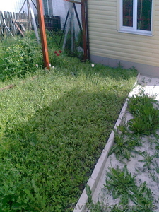 Продам квартиру на земле 50 кв.м. Пролетарский 26000 у.е.отл.состояние #270448