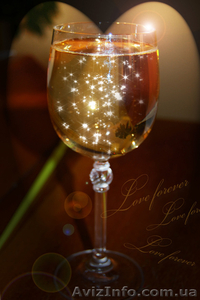 Фото для Вас и Ваших близких #254068