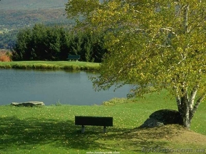 Продам участки Бориспольский район село Гнидын #274523