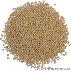 Горчица белая семена Украина КУПЛЮ #278138