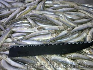 Рыбная продукция #264029