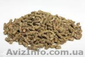 Продам корм для шиншил #273933