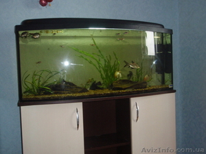 АКВАРИУМ 220 Л.КРЫШКА ТУМБА . #269646