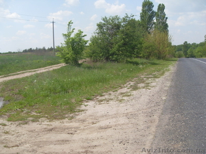 Срочно продам земельну ділянку по низьким цінам! #267852