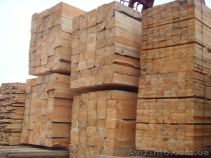 СПД Сорокопуд С.О. #266781