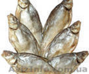 Плотва,  тарань,  - свежезамороженная и вяленая #264409