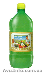 Триходермин — борьба с болезнями растений,  дезинфекция почвы #268050