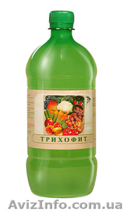 Трихофит — защита растений от фитопатогенов #268059