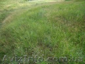 Участок м коммуникациями. Общая территория площадью 2, 87 гектаров + еще 7 #250920