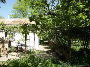 Продам дом или пол дома (старой постройки). #304091