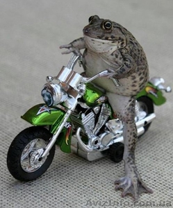 Автобусные туры в Крым из Харькова!   Black Sea Travel #280805