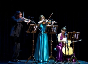 Струнное трио (скрипка,  альт,  виолончель) #288292