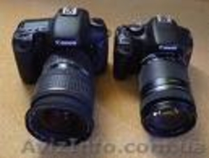 Canon Eos 550D Digital SLR Camera #297395