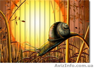 Фото жалюзи. Жалюзи с рисунком или логотипом,  недорого. Симферополь,  Крым  #302735