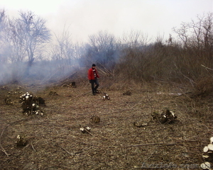 зачистка участков 067 339 35 31 #282003