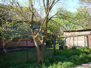 Дача в Осокорках #282866