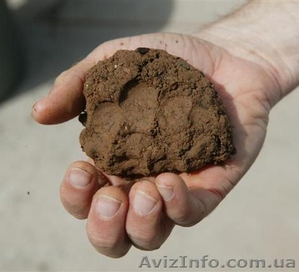 Продажа глины,  купить глину цена Одесса #281944