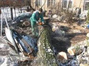 вывоз мусора 067 339 35 31 #281444