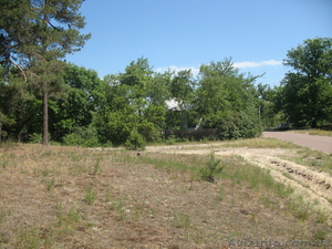 продам полдома в селе возле г.Остер Козелецкий рн. #249133