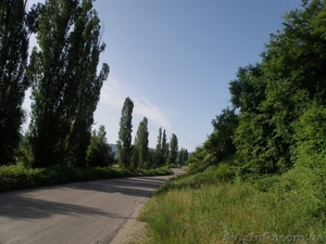 Услуги фотографа недорого,  качественно #294360