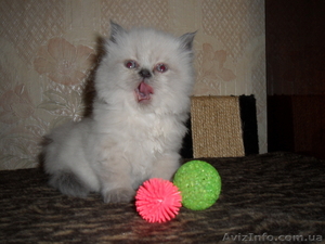 Николаев,  ARomanova.2010@mail.ru тел.0973533925 #280912