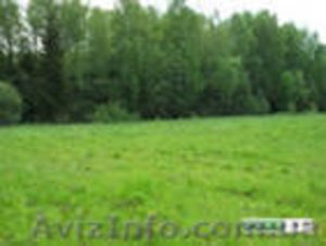 Буча.  Участок 6 сот.  #284267