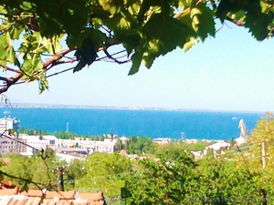 Дом под ключ для семьи 10 минут и море-в июле #298681