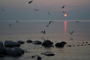 Продаю участок на 16 ст. Б.Фонтана #280427