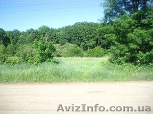 Хозяин продает участок под строительство #269455