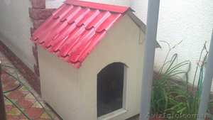 Собачья   Будку #315340