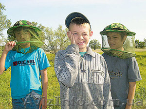 Биологическая борьба с комарами #328964