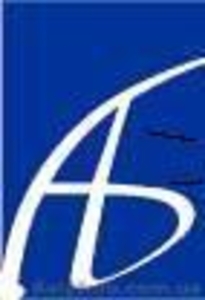 Дмитриева и партнеры,  ООО #336296