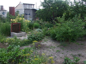 Дачный участок с постройками #311770