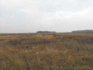 Продажа земли в Барышевке,  55 км. от Киева S 26 соток #333329