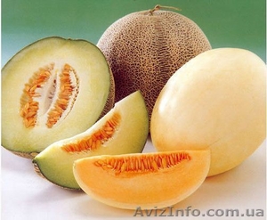 Предлагаем оптом дыню #316714