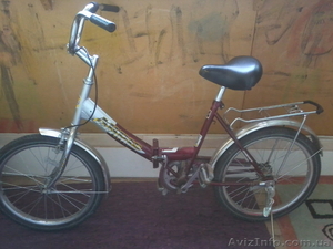 Ardis  fold  sport  series #328339