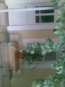 Сдаю комнаты г Скадовск #319818