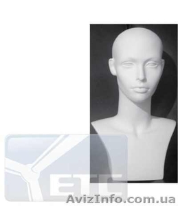 Манекены головы мужские и женские #329280