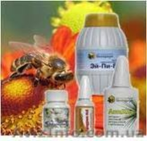 Медовый бизнес Тенториум #316351