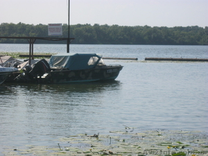 Продам катер Амур #330019