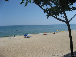 Для тех,  кто ценить реально чистое побережье! #331277